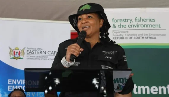 Thumbnail for DFFE’s WEERSA recycling platform connects MSMEs with US$13M in existing grant support