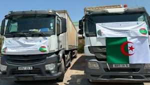 ACS Holding’s GIPEC returns to export markets with 80,000 corrugated packaging units to Mauritania after eight-year hiatus