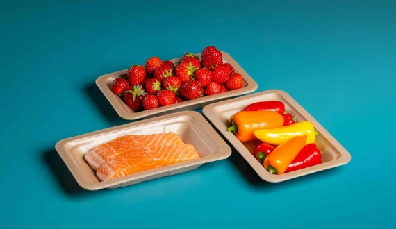 Thumbnail for TotalEnergies Corbion commercializes Luminy Foam 50F as bio-based packaging alternative to XPS