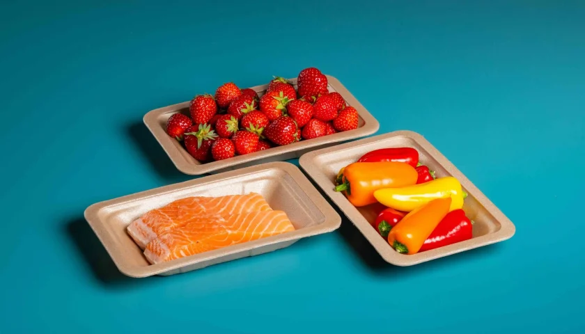 Thumbnail for TotalEnergies Corbion commercializes Luminy Foam 50F as bio-based packaging alternative to XPS