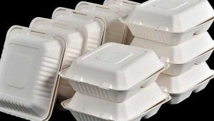 Ghana’s EPA: Styrofoam ban signals wider plastic crackdown