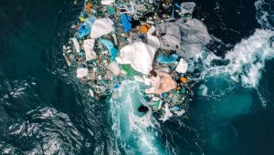 WWF Tunisia’s marine recycling project transforms abandoned fishing gear into circular economy opportunities