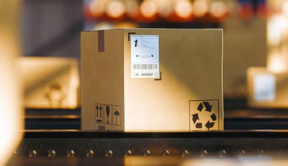 Thumbnail for PPWR affects 93% of UK manufacturers as new EU packaging rules take hold: Sapio Research