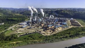 Sappi’s Q3 sales hold at US$1.3B as cost cuts offset graphic paper decline, pulp headwinds