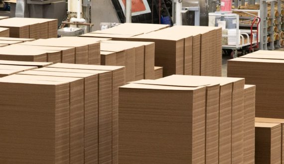 Thumbnail for Cirkla’s US$5M Georgia plant targets poultry packaging with fiber-based trays as bamboo, sugarcane replace styrofoam