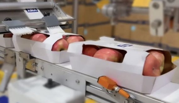 Thumbnail for ExxonMobil, LD PACK create recyclable mono-material frozen food packaging