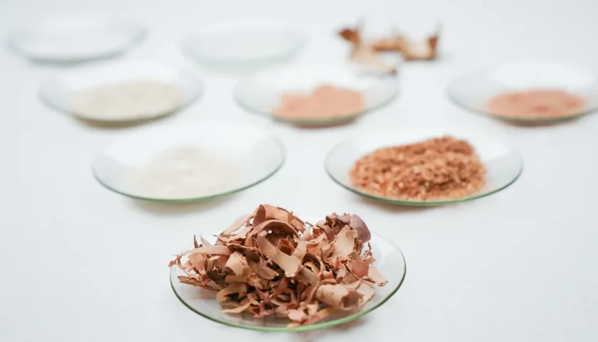Thumbnail for Innomost develops bio-based barrier coating from birch bark waste
