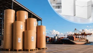 KleanNara expands clay-coated board exports to South Africa