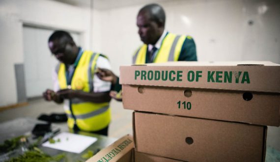 Thumbnail for Time Technoplast’s US$14.4M recycling bet transforms packaging giant into circular economy leader
