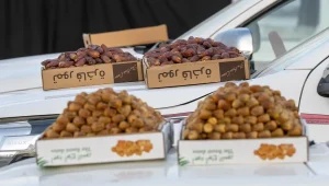 Qassim date industry expands market reach through standardised packaging