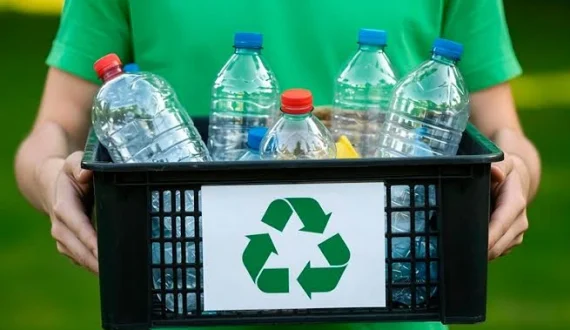 Thumbnail for Türkiye forest products sector targets packaging competitiveness